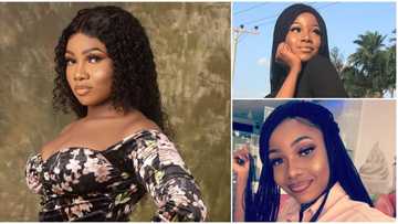 BBNaija: I am sorry if I hurt anyone - Tacha apologizes after receiving second strike