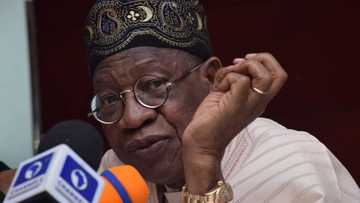 Babu kasar da ta kai Najeriya arhar man fetur a Afrika har yanzu - Lai Mohammed