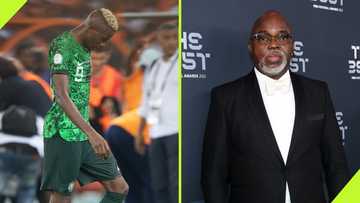 Amaju Pinnick: ex NFF boss speaks on Osimhen's rant towards Finidi George