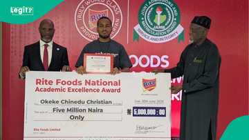 JAMB 2025 overall top scorer Okeke Chinedu Christian who got 375 awarded N5 million star prize