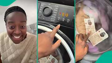 "My life:" Woman screams as £100 forgotten in cloth spins inside washing machine, watches helplessly