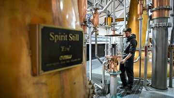 Distillery layoffs send shudders across remote Scottish island
