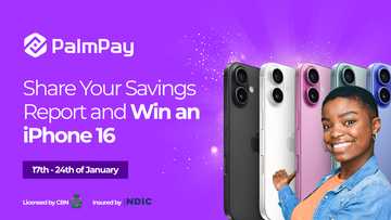 Win an iPhone 16 in the PalmPay share your earnings promo