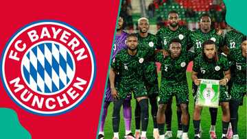 Bayern Munich eyeing Super Eagles striker as replacement for Harry Kane