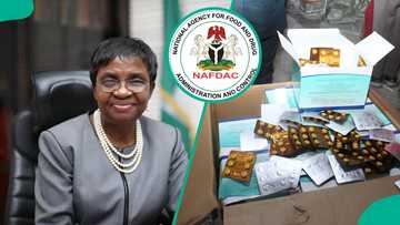 NAFDAC busts fake malaria drugs shipment worth N1.2bn falsely declared as spare parts