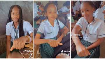 "I wan write WAEC again": Video of fine secondary school girls in a class with impressive neatness goes viral