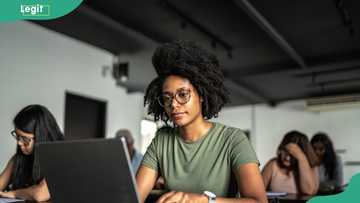 What are the 9 subjects for banking and finance? Requirements and universities to study the course