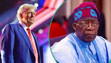 Trump's order: Tinubu to absorb 28,000 health workers affected by USAID freeze