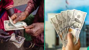 Naira opens new week on weak note against US dollar across FX markets