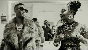 Tems needs to apologise, fan demands as he reacts to video of singer rubbing Wizkid's back on stage