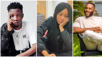 Erica's disqualification: Kiddwaya, Laycon, others talk about her surprising exit from show