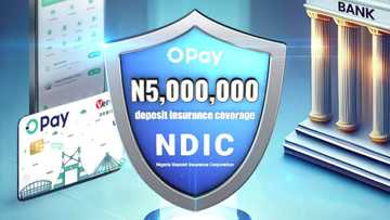 OPay users’ funds now insured up to N5 million under NDIC