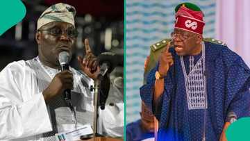 2027 elections: Reno Omokri tells Atiku to apologise to Tinubu, explains why