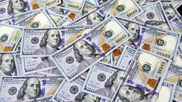 The Importance of Money: An Exhaustively Comprehensive Exploration