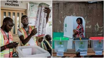 Anambra 2025 governorship election: How to check live results from polling units on INEC portal