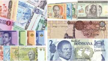 Jerin ƙasashen Afirka 7 da kuɗaɗensu ya fi daraja a 2021