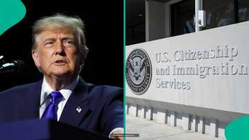 US citizenship test: History of the naturalisation exam and why applicants are required to take it