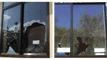 53-year-old man storms school, breaks 12 windows after finding out that wife had an affair with the watchman