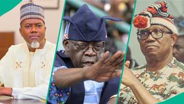 Tinubu's certificate scandal: New update as Reno Omokri raises 5 alleged false claims by Peter Obi