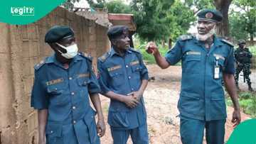 Hukumar Hisbah ta dakatar da wani babban biki a Yobe, an cafke ɗan TikTok a Kano