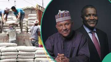 Dangote, BUA, Lafarge record N1.53trn revenue amid high cement demand, forex stability