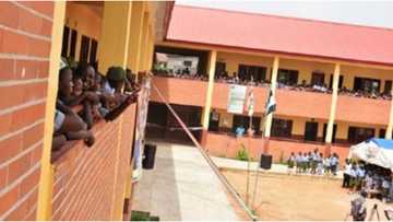 4 talented Ajegunle secondary school students create a solar-powered mobile traffic light