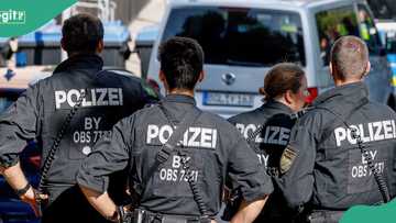 Germany deports 31 Afghan men to Kabul, vows more removals