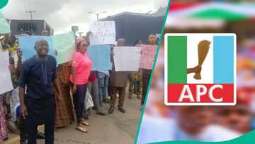 "Dole ka sauka," Mambobin APC sun ɗauki zafi, sun buƙaci a tsige shugaban jam'iyya