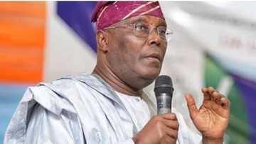 2023: Atiku ne zai iya kawo wa PDP nasara, Jigo a Jam'iyyar PDP