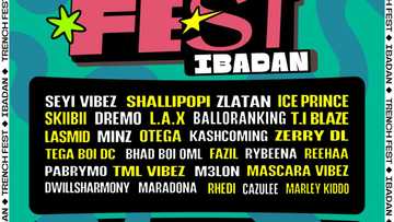 Trench Fest Takes Zlatan, Seyi Vibez, Shallipopi, Pocolee, Ice Prince, and others to Ibadan