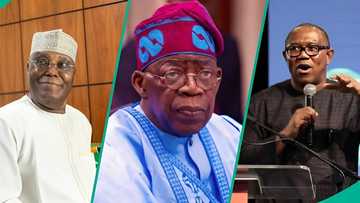 2027 Election: The urgent need to attract, not scare away investors