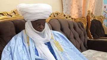 Babban Sarki a Arewa Ya Roƙi Ƴan Bindiga Su Ƙyalle Manoma Su Koma Gonakinsu