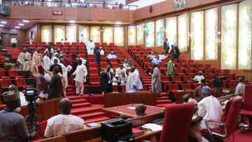 Yanzu-yanzu: Komai ya kankama domin tantance ministocin Buhari: Ogar daga Abiya ya hau minbari