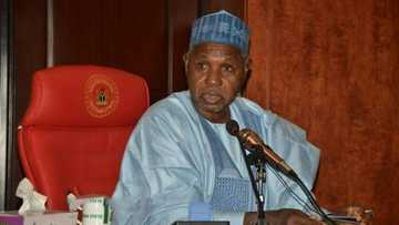 Bandits outnumber security personnel, says Gov Aminu Masari