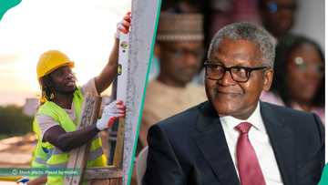 Dangote Group announces 60 new job vacancies, SSCE, OND holders can apply