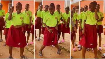 "She is a star": Girl in school uniform dances with swag in midst of other kids, sweet video emerges on TikTok