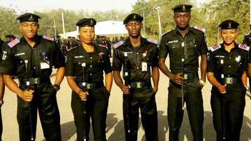 Rundunar 'yan sanda za ta tura jami'ai 31,000 zaben Edo, ta bayyana dalili