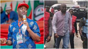 Makinde looks quiet but he's deadly - Fayose talks tough, insists he won southwest PDP congress election