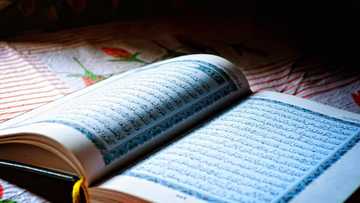 Reciting Qur'an relieves stress, anxiety; cures hypertension, mental illnesses - Cleric