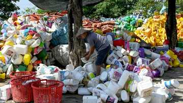 'Waiting to die': the dirty business of recycling in Vietnam