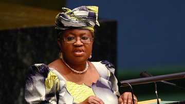 Okonjo-Iweala raises alarm over unauthorised use of her name, reveals next step
