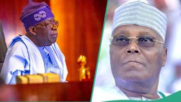 Atiku's Chicago mission: Lawyer reveals how Supreme Court Judgement may favour Tinubu