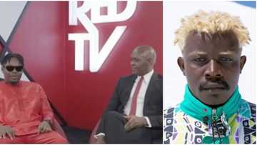 Baddo na baba: Old video of Olamide pitching TG Omori's art to Tony Elumelu goes viral, director reacts