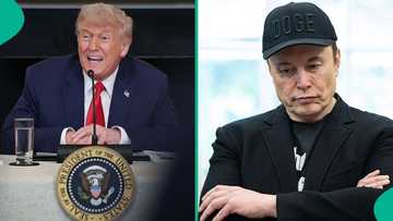 Reactions as Elon Musk says he regrets some social media posts he made about Trump