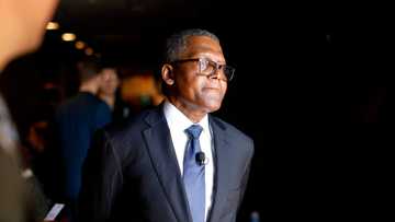 Jackpot: Dangote Cement, MTN shareholders cash out big, firms lead best-paying dividend organisations in 2021