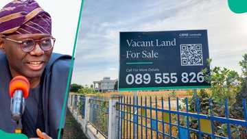 Where to buy cheaper land in Lagos as Epe, Ikorodu and Badagry emerge as growth corridors