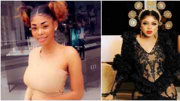 He met his match: Reactions as Bobrisky's ex-PA resumes dragging, says she erased his name off her body