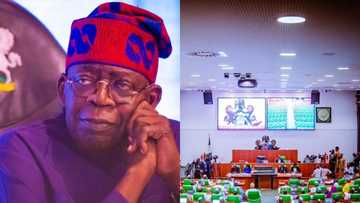 House of Reps: Tinubu’s N500bn request for palliatives approved