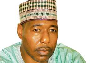 Jubilation in Borno as Zulum approves N30K minimum wage for teachers