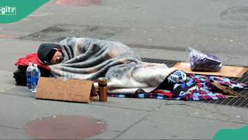 18 freeze to death as extreme cold weather hits major city